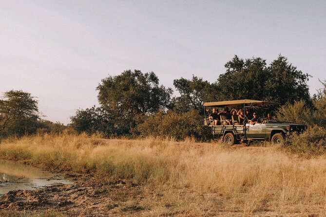 Sunrise Game Drive in Big5 Reserve - The Guide Makes the Difference, Especially at 5am