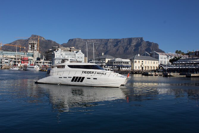 Sunset & Champagne Cruise for 2 pax on TIGGER 2 ( Guaranteed departure ) - Why a Clifton or Table Bay Sunset Works So Well