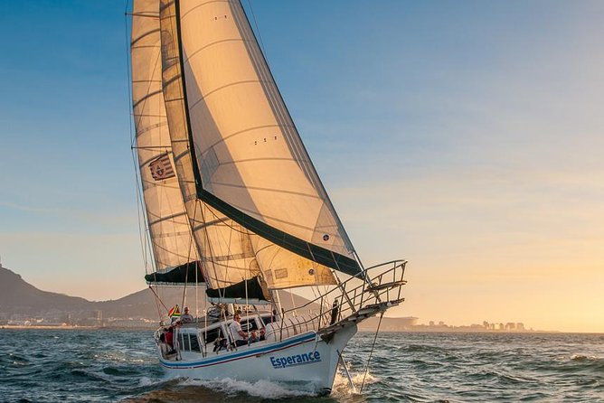 Sunset Champagne Cruise from Cape Town - Comfort on the Water: Wind, Rough Water, and Safety Choices