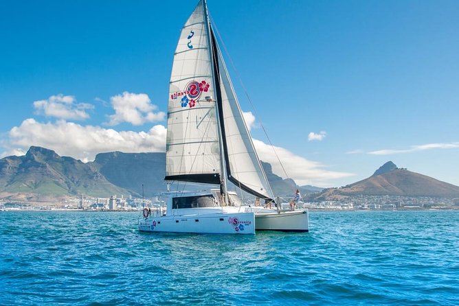 Sunset Champagne Cruise from Cape Town - Price and Value: Getting More Than Just a Photo Moment