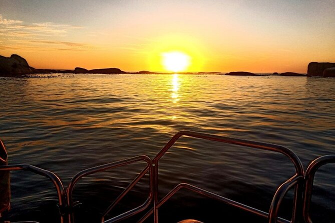 Sunset Champagne Cruise from Cape Town - What’s Included: Two Glasses of Sparkling Wine, Then a Cash Bar