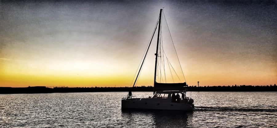 Sunset Cruise with Cape Town Cruises - Marine Life Chances: What to Watch For and How