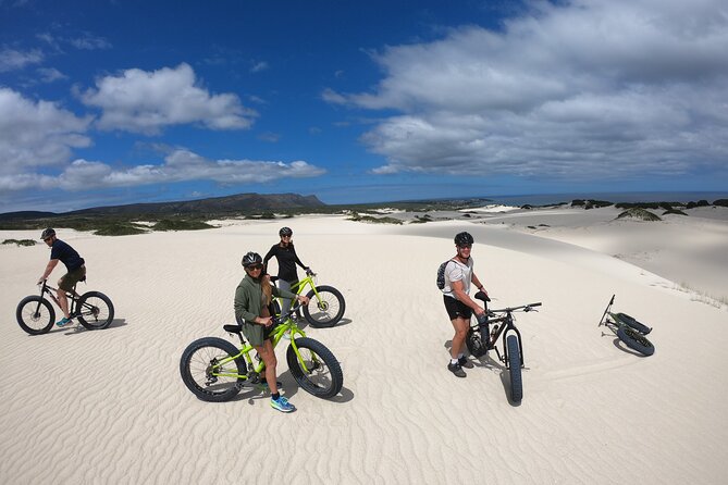 Sunset Fatbike Dune Experience - Whale season: what you might see while riding