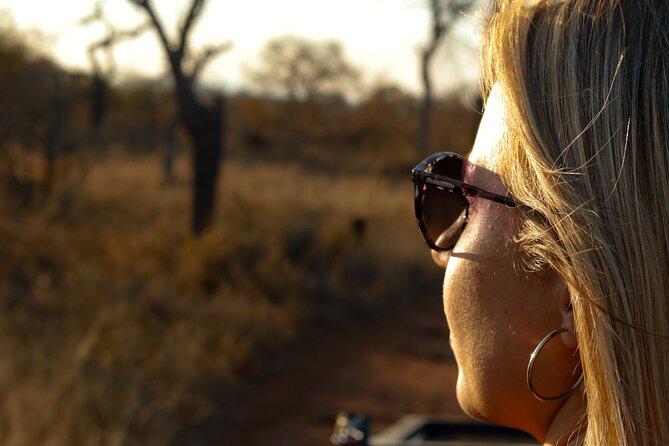 Sunset Game Drive in Big5 Reserve - What You’re Likely to See: Big Five and More