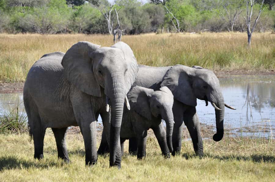 sunset safari big 5 Game reserve Group Tour - Food, water, and comfort at Aquila, the small stuff that helps you last