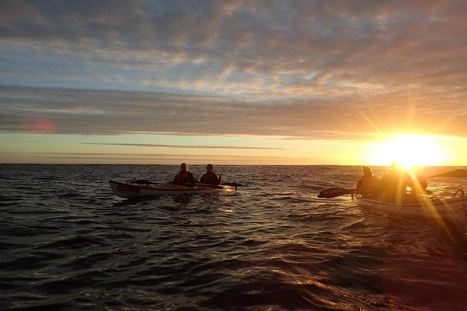 Sunset Session - Dolphins and wildlife: your best odds, and how to stay respectful