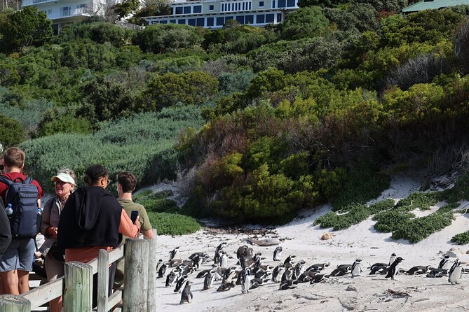 Supersaver: Cape of Good Hope and Cape Point Day Tour from Cape Town - Chapman’s Peak Drive Viewpoints: One of the World’s Scenic Drives
