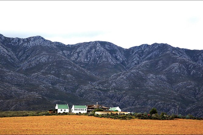 Swartberg Pass Tour including Traditional Karoo Lunch - Price and Value: What $60.56 Buys You