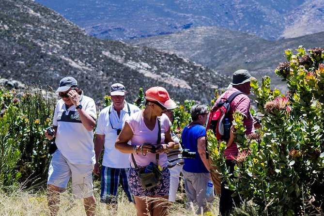 Swartberg Pass Tour including Traditional Karoo Lunch - The Swartberg Pass Walk: Short, Scenic, and What You Should Expect