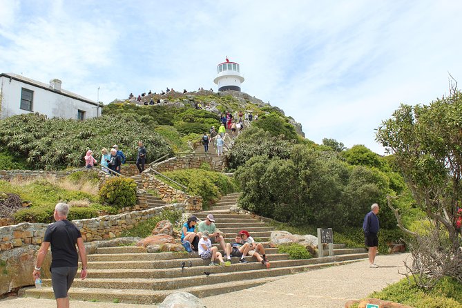 Swim with Penguins At Boulders Chapman's Peak Exc Entry Fees - Getting picked up at the Waterfront (and what that means for your day)