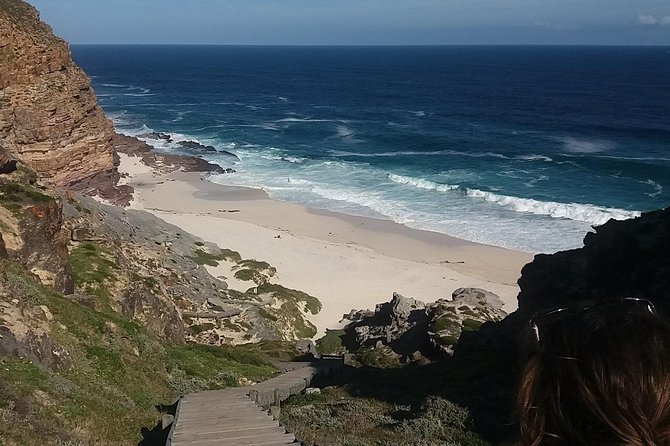 Swim with Penguins At Boulders Chapman's Peak Exc Entry Fees - From Steenberg wine optional stop to Mandela and heart transplant drive-bys