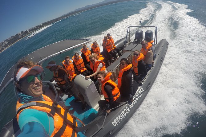 Swim with Seals - Meet Offshore Adventures at Hopwood Street, then get moving