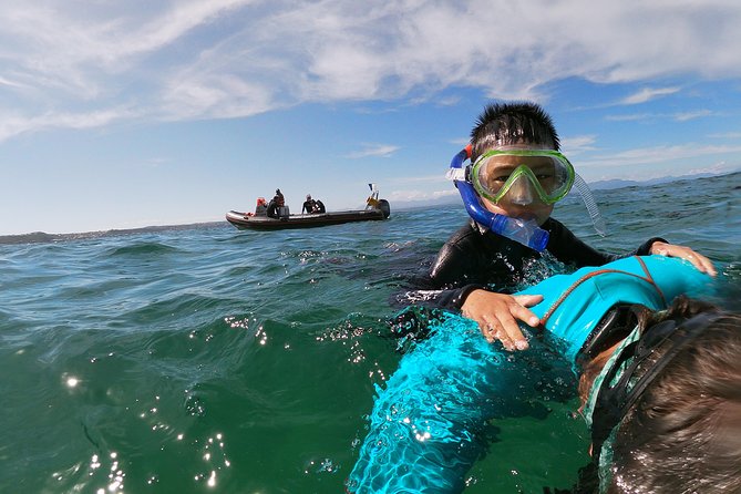 Swim with Seals - The safety routine: how first-timers are handled