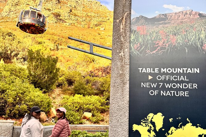 Table Mountain and Penguins Private Half Day Tour - A Tight, Private Route for Cape Town’s Best Hits