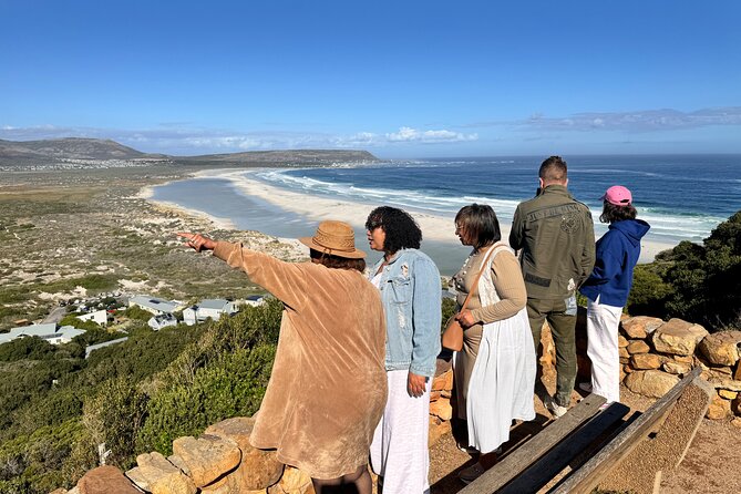 Table Mountain and Penguins Private Half Day Tour - Table Mountain National Park: Cable Car Reality Check and Photo Planning