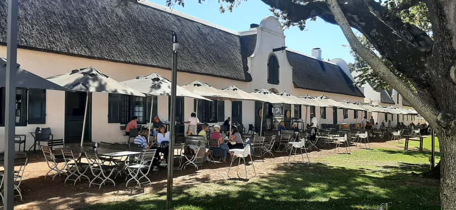 Table Mountain and Stellenbosch Wine tasting tour - How the Day Feels: Big Views, Then Pouring Your Own Opinions