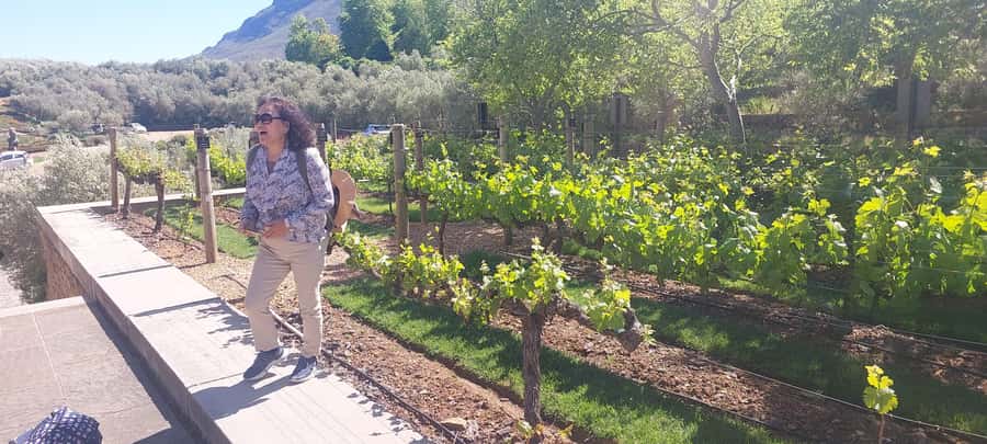 Table Mountain and Stellenbosch Wine tasting tour - Kirstenbosch Botanic Garden: A Highlight Worth Confirming Day-of