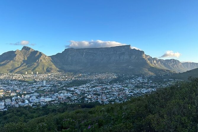 Table Mountain Boulder's Beach and Cape Point - Cape of Good Hope Nature Reserve and the Meeting of Oceans