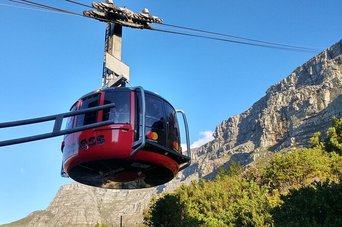 Table Mountain Boulder's Beach and Cape Point Tour - Key highlights you should care about