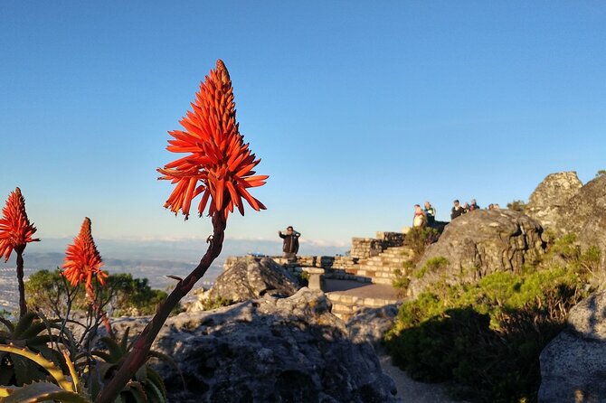 Table Mountain Boulder's Beach and Cape Point Tour - Cape of Good Hope and the Old Cape Point Lighthouse