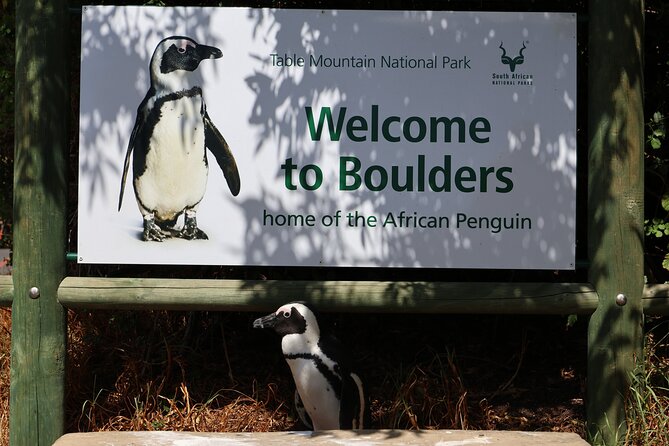 Table Mountain Boulder's Beach and Cape Point Tour - Stellenbosch wine and cheese timing, and how to budget it