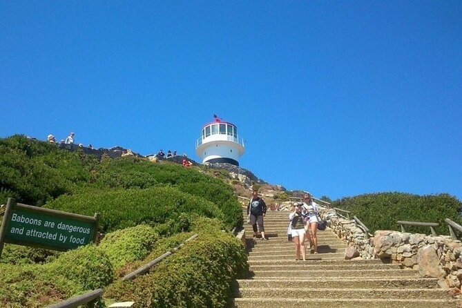 Table Mountain Boulder's Beach and Cape Point - Table Mountain Aerial Cableway: Your Shortcut to Big Views
