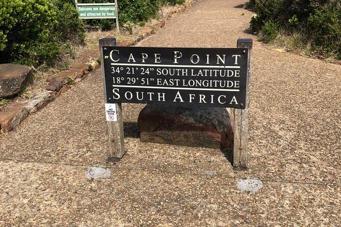 Table Mountain, Boulder's Penguins, Cape of Good Hope&Cape Point - Key highlights you should care about