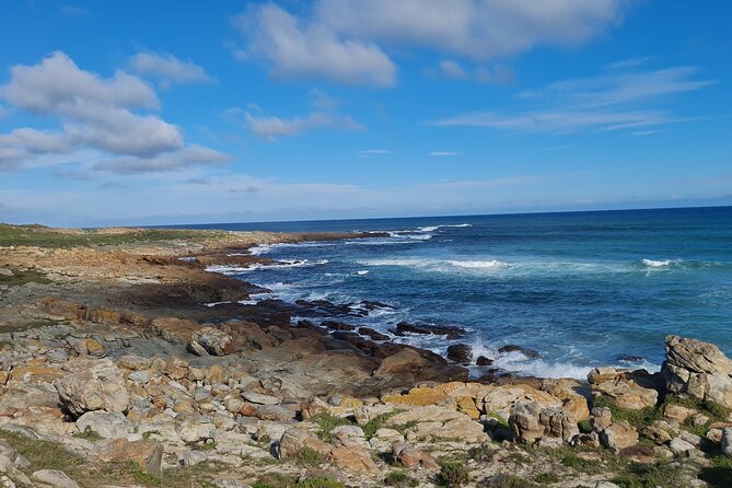 Table Mountain, Boulder's Penguins, Cape of Good Hope&Cape Point - Chapmans Peak Drive Viewpoints: The Scenic Stretch That Makes the Route Feel Worth It