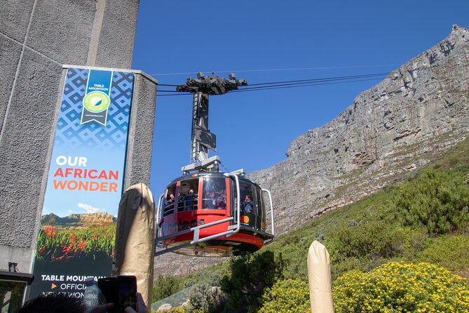 Table Mountain, Boulder's Penguins & Cape Point Private Tour from Cape Town - Bo-Kaap photo time: colorful houses with real context