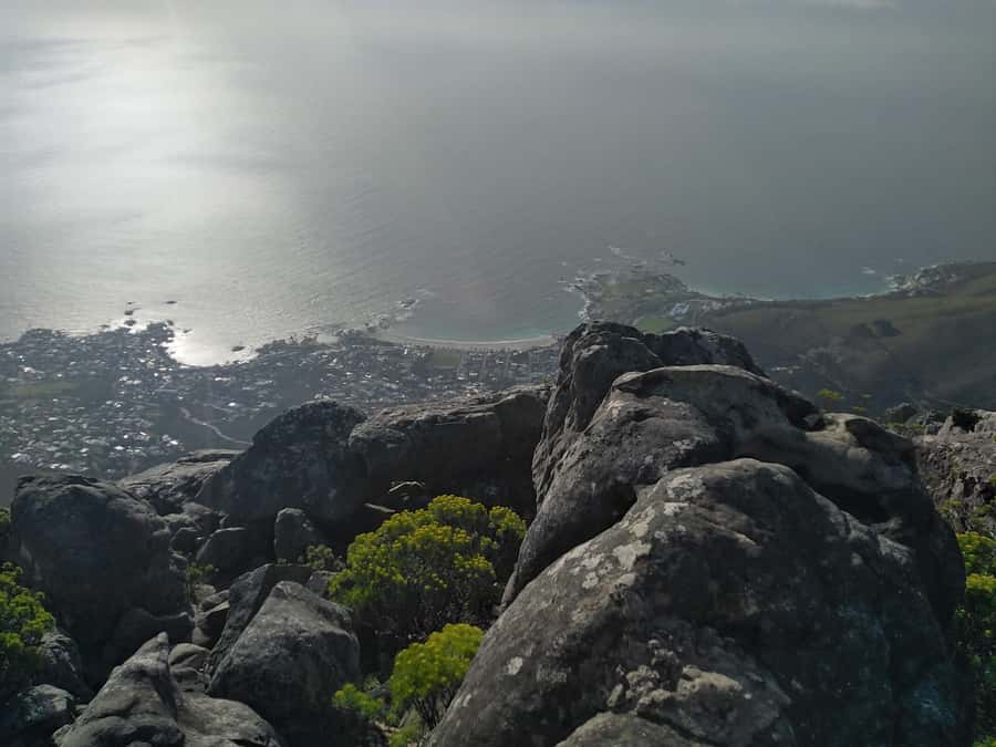 TABLE MOUNTAIN CABLE CAR EXPERIENCE WITH RESERVED TICKETS - How the guide support actually improves your cable car day