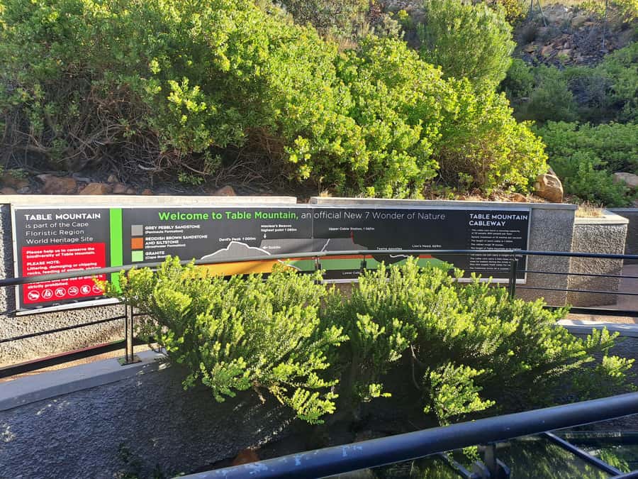 Table Mountain Cable Car Ticket with Transfer - Tour value and pricing: what $93 gets you in real terms