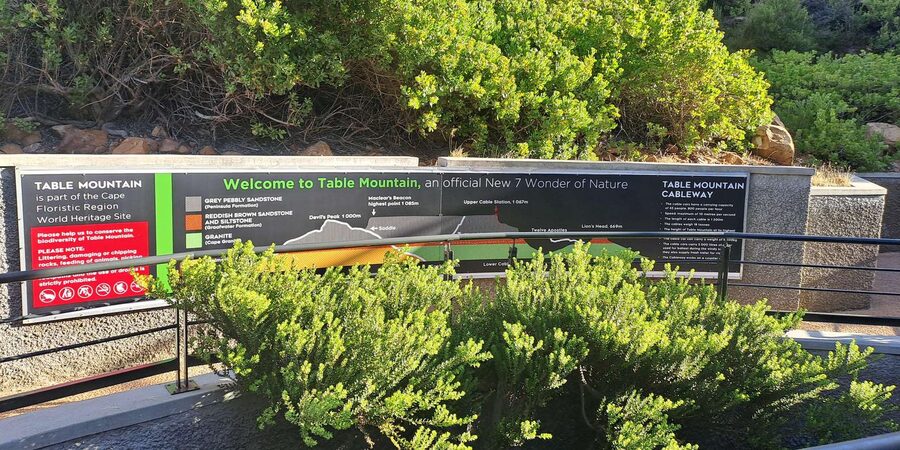 Table Mountain Cable Car Ticket with Transfer - Who should book this Table Mountain cable car day with transfer?