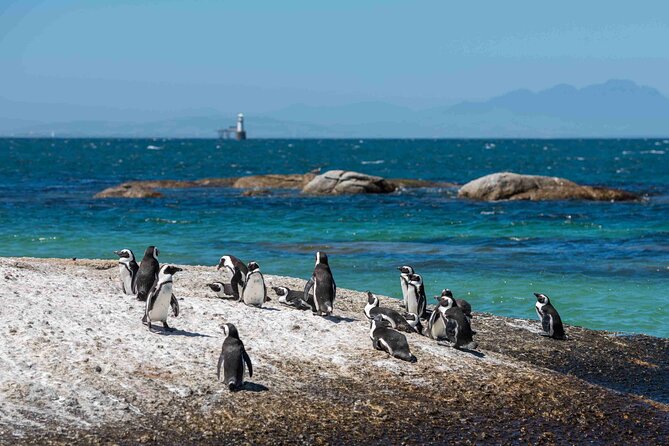 Table Mountain, Cape of good hope Full Day Shared Group Tour - Noordhoek Farm Village: Where the Day Slows Down