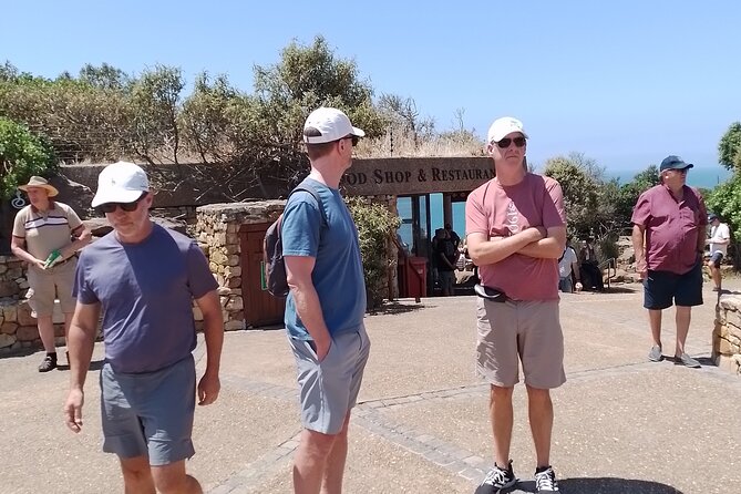 Table Mountain, Cape of Good Hope & Penguins - Noordhoek and Cape Point Vineyards: Coffee and Wine, Choose Your Own Style