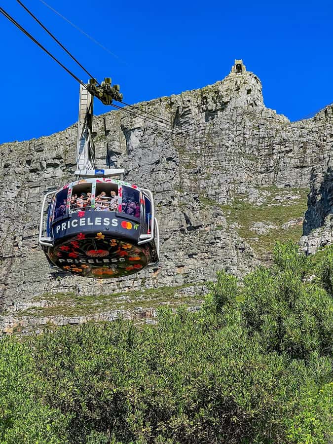 Table Mountain, Cape Of Good Hope, Penguins, Full Day Tour - Chapman’s Peak and the Atlantic Seaboard, scenery on the move