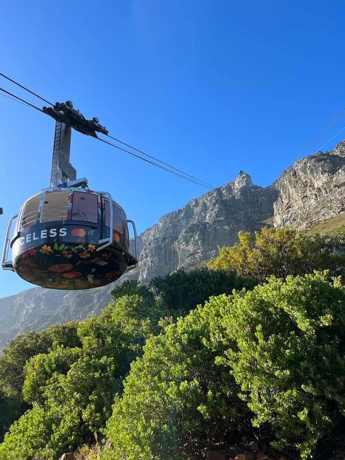 Table Mountain, Cape Of Good Hope, Penguins, Full Day Tour - Hout Bay and Seal Island, optional but worth the pause