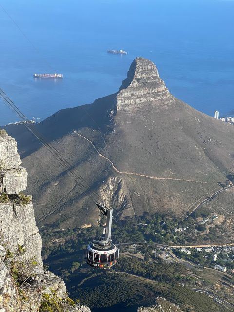 Table Mountain, Cape Of Good Hope, Penguins, Full Day Tour - Cape of Good Hope Nature Reserve, Dias cross and the current meeting
