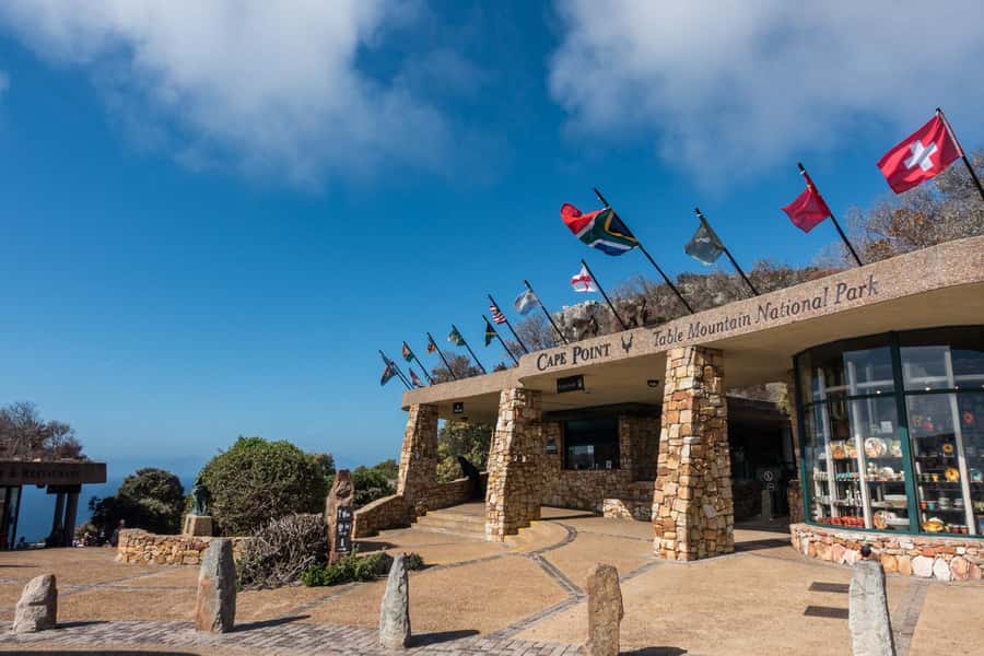 Table Mountain, Cape of Good Hope & Penguins Shared Tour - A 9-Hour Cape Peninsula Hit List That Makes Sense