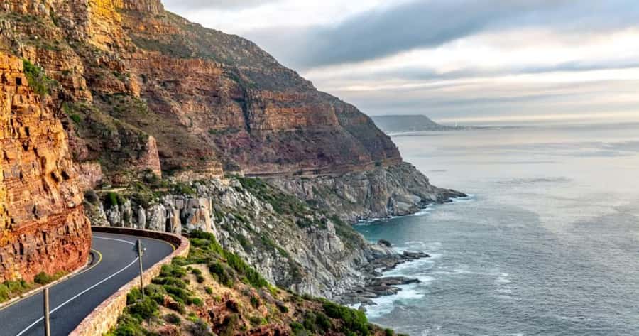 Table Mountain, Cape of Good Hope & Penguins Shared Tour - Boulders Beach Penguins: The Boardwalk Way to See Them