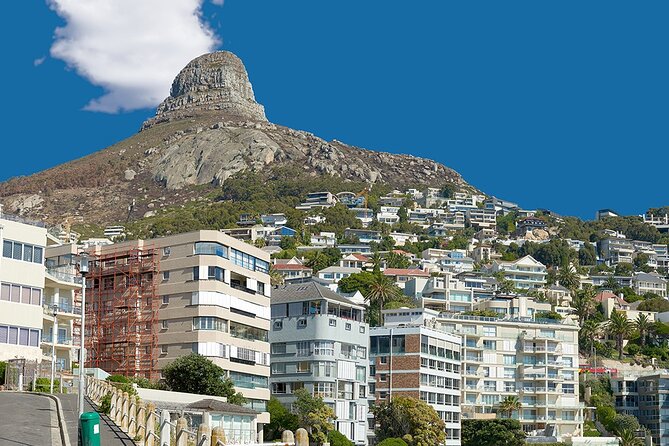 Table Mountain, Cape Point & Penguin Beach ENTRANCE INCLUDED - Fish Hoek Lunch Break: The One-Hour Reset You Control