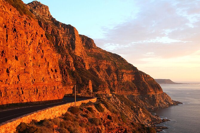 Table Mountain, Cape Point & Penguin Beach ENTRANCE INCLUDED - Price and Value: What $199.32 Includes (and Why It Matters)
