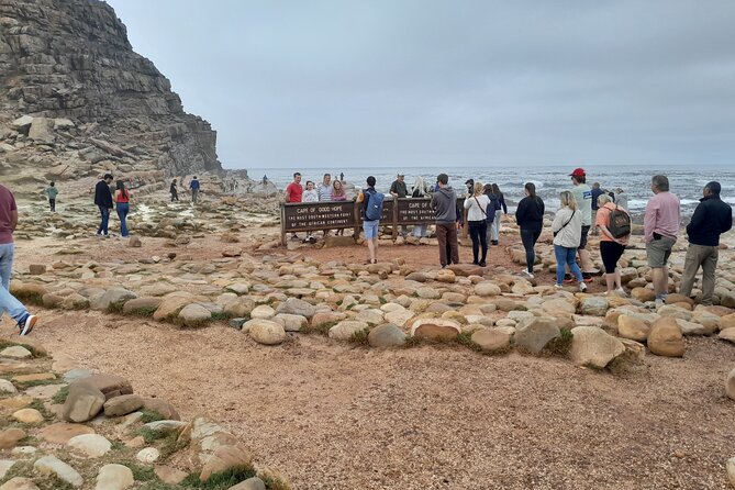 Table Mountain Cape Point Penguin Groot Constantia Private Tour - Key highlights that make this tour worth your time