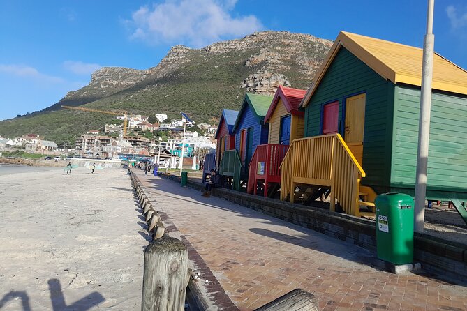 Table Mountain Cape Point Penguin Groot Constantia Private Tour - Boulders Beach penguins: family time that is genuinely easy
