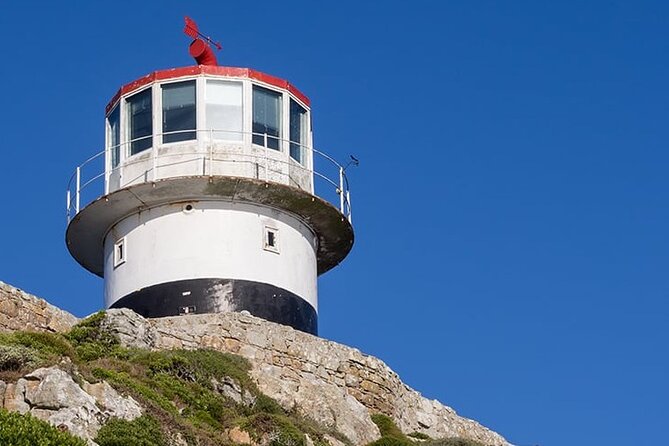Table Mountain Cape Point Penguin Groot Constantia Private Tour - Cape of Good Hope reserve and Cape Point lighthouse: currents, beacons, and options