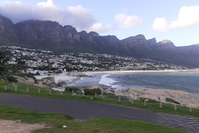 Table Mountain, Cape Point & Penguins Private ,From Cape Town - Boulders Beach African Penguins: Close-Up Wildlife Without the Guesswork