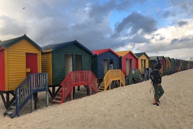 Table Mountain, Cape Point & Penguins Private ,From Cape Town - Simon’s Town for Lunch on Your Own, Then Coastline Back to Town