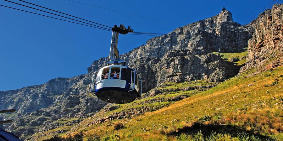 Table Mountain & Cape Town City Half Day Guided Tour - Table Mountain by Cable Car: Views, Flora, and a Guided Circular Trail