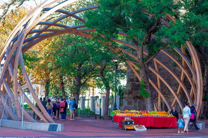 Table Mountain & Cape Town City Half Day Private guided Tour - Adderley Street and Church Square, Where Art and Activism Collide