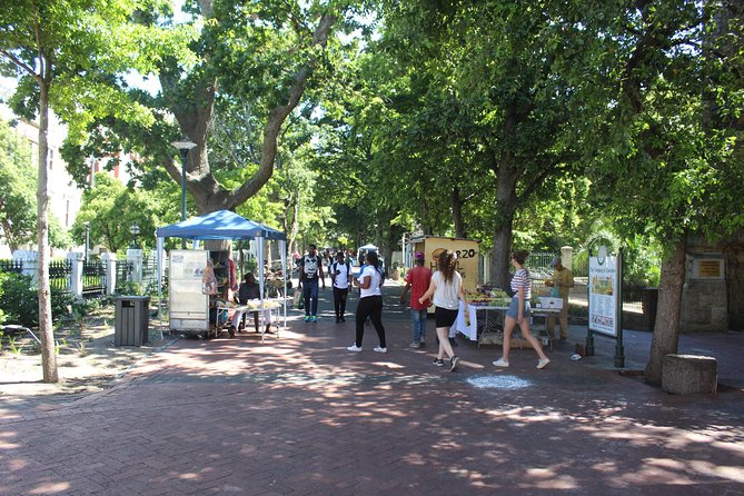 Table Mountain Cape Town City Tour Kirstenbosch Gardens +Tickets - Optional museum stop and city context that actually helps
