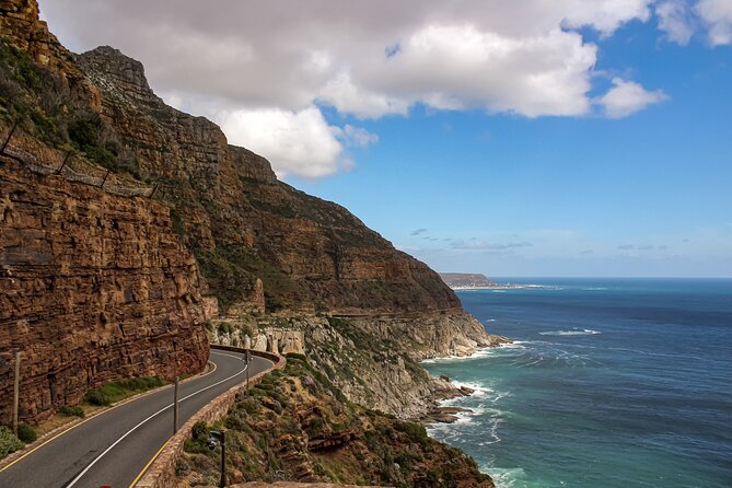 Table Mountain, Chapmans Peak Drive, Cape Point & Penguins - Boulders Beach Penguin Colony: Seeing African Penguins Up Close